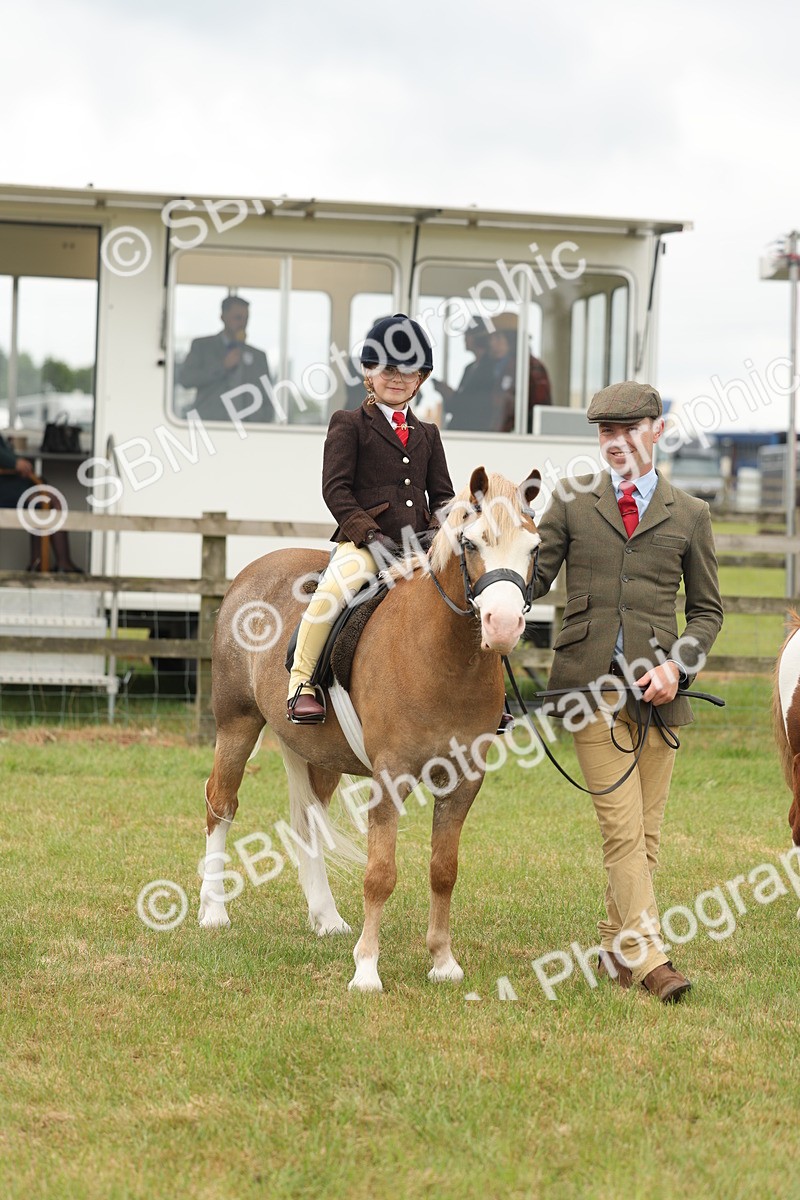 SBM_06786 - Class 74-75 - M&M Lead Rein and First Ridden Pony
