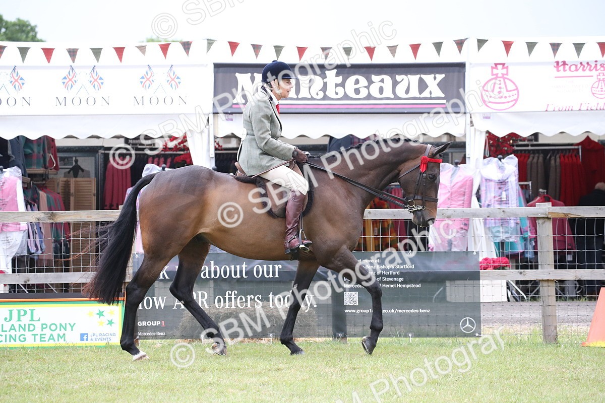SBM_11402 - Class 94 - LIHS BSHA Racehorse to Showhorse