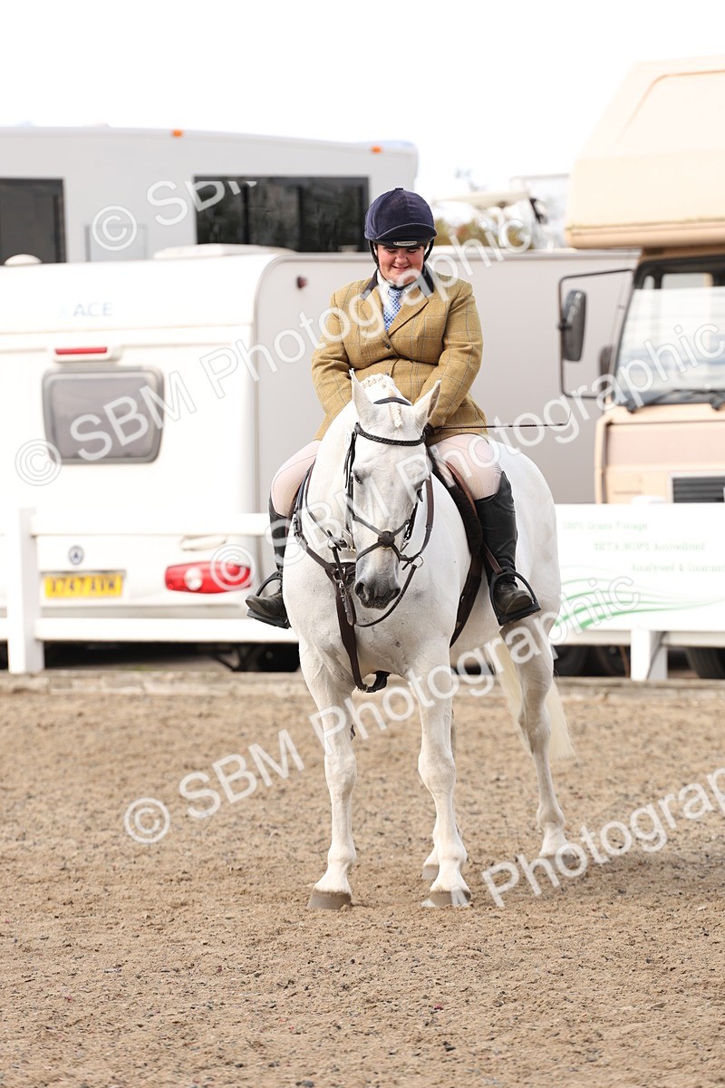 SBM_06803 - Class 58a -  Style & Performance - 70cm (15-19)