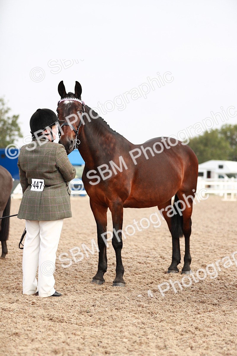 SBM_09544 - Class 201 Best Turned Out IH