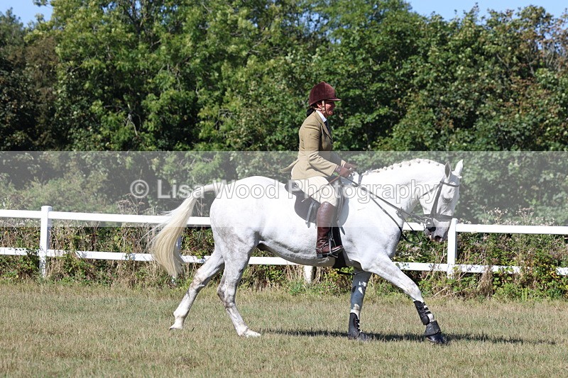 3E7A5870 - Class 5: Working Hunter 90cm