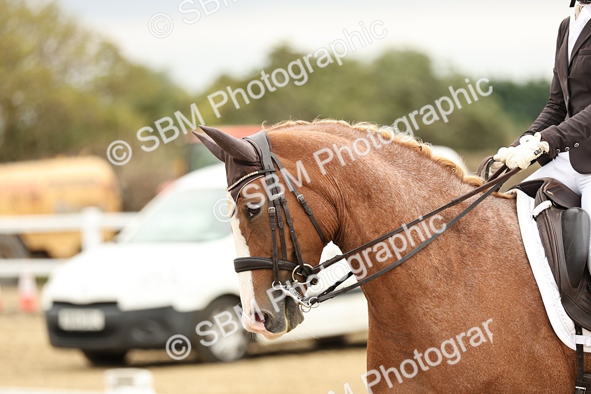 SBM_006533 - Class 21 - Medium 5 Bronze - 9.08-9.48