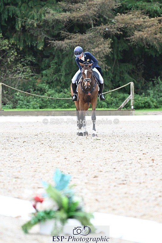 231019-122604-02770 - 044-COOLEY.ON.THE.CARDS-Charlotte.Cooke-DR