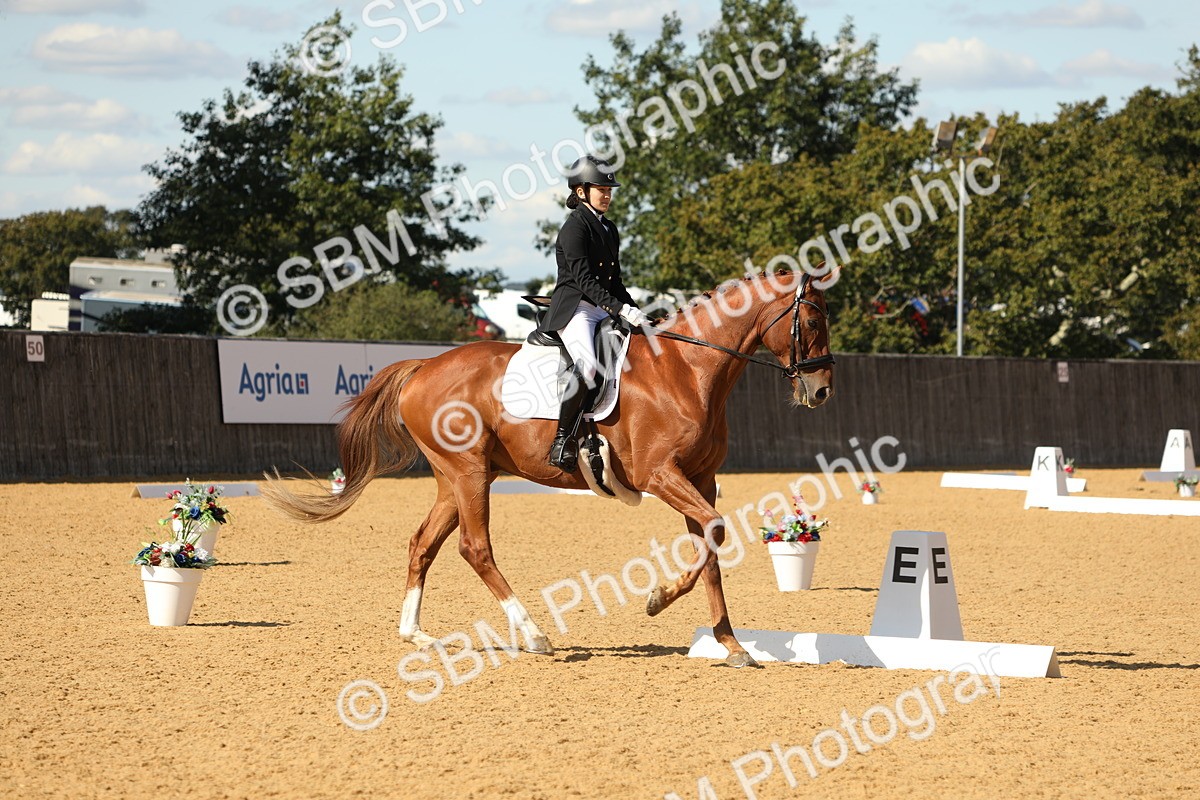 SBM_24617 - D17 - Grand Tour Championship - Novice 27