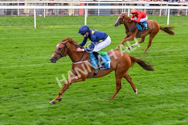 260725-Race 1-Golden Palace-7112 - Race 1 1.25pm £100K ITV7 Jackpot Today EBF Fillies' Novice Stakes