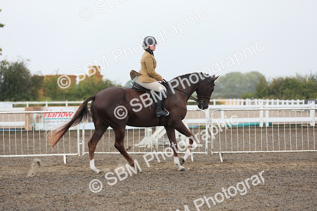 SBM_21258 - Class 805 - Ridden Veteran Horse
