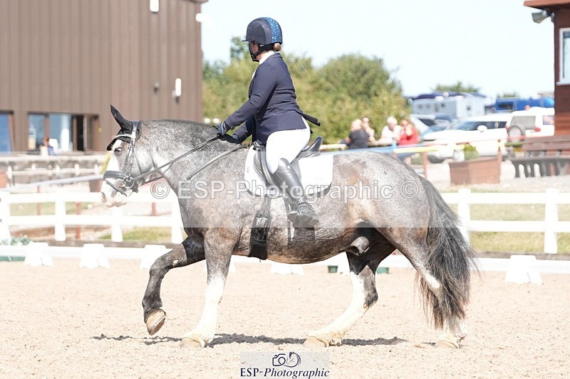 250817-142713-10954 - 055-Neve.HollowaySD.Out.of.the.Blue