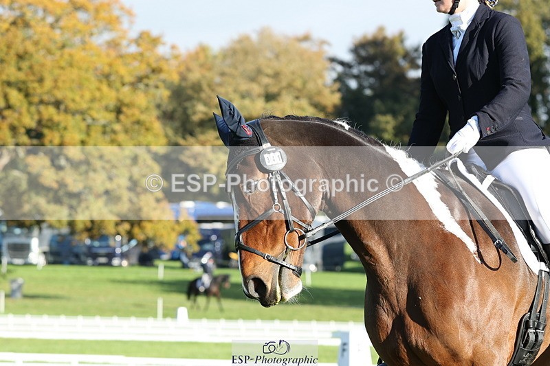 251024A-100327-07646 - D-341-Charlotte.Northcott