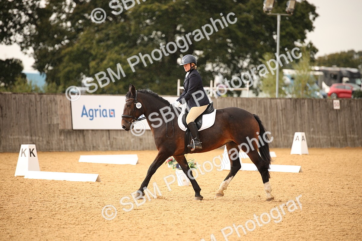 SBM_12341 - D3 Small  Tour Championship Intro A