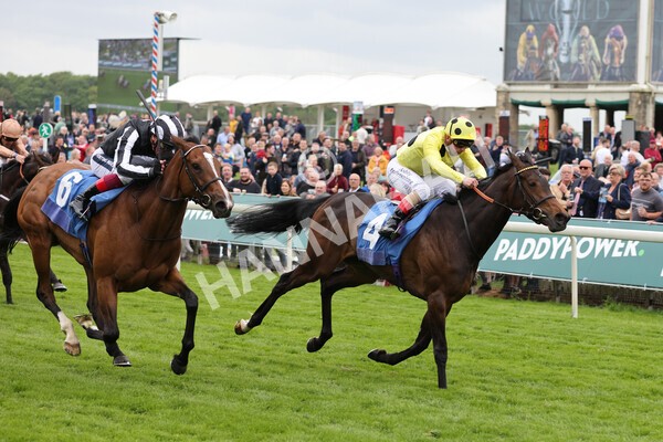 yr13052022r2-18 - Race 2 2.25pm Oaks Farm Stables Fillies' Stakes (registered as the Michael Seely Memorial Stakes)