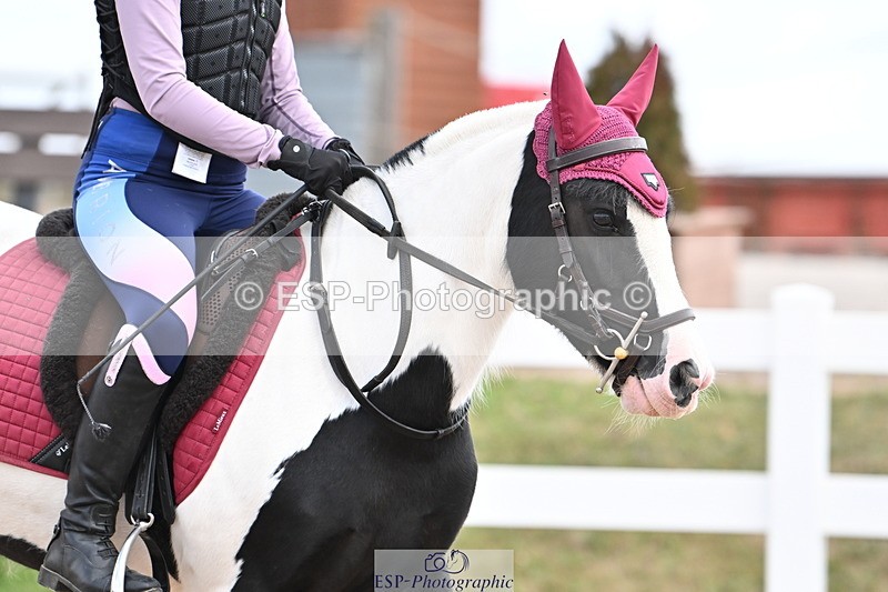 250821B-121551-00377 - Group D - Thomasina