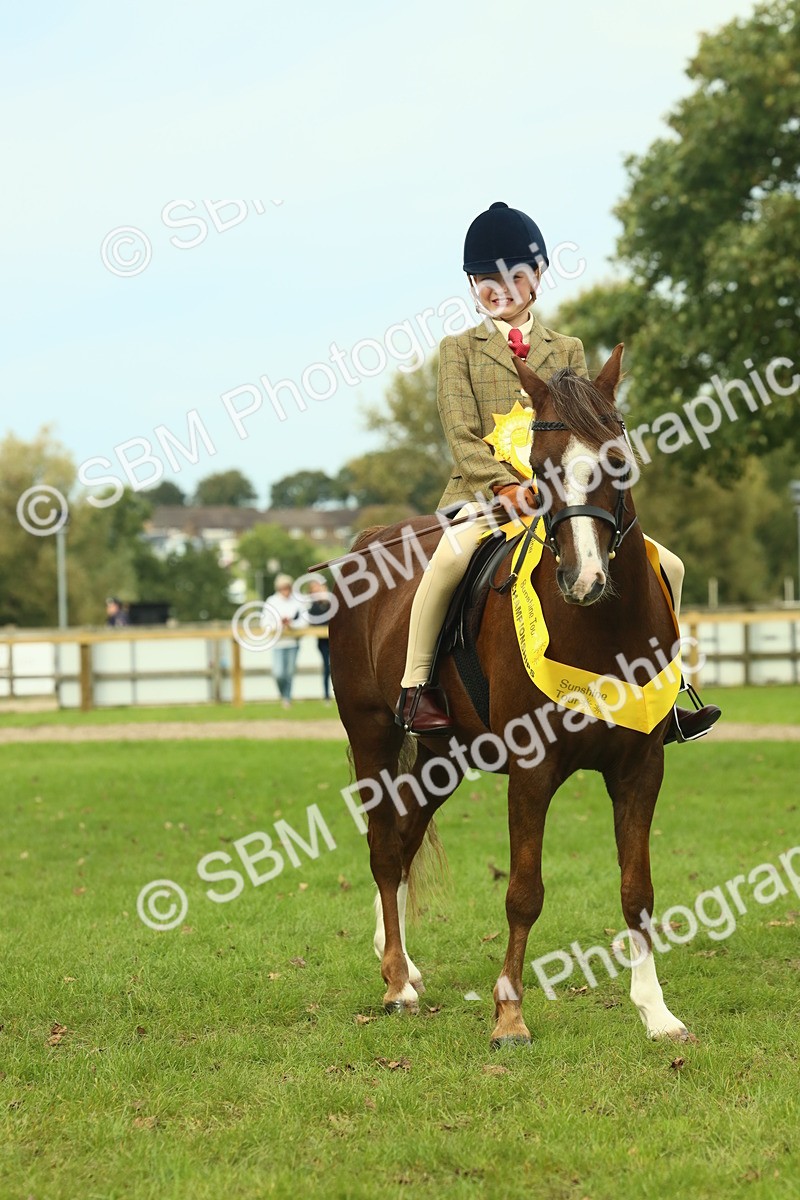 SBM_70027 - S59 - Mountain & Moorland Ridden Small Breeds