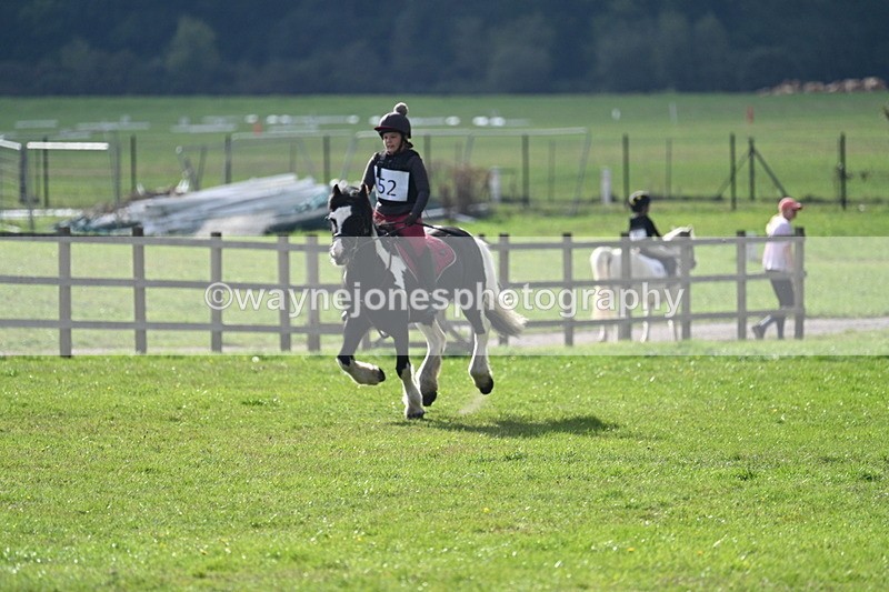 WJ7_3702 - 40cm Time 10:26 to 10:42