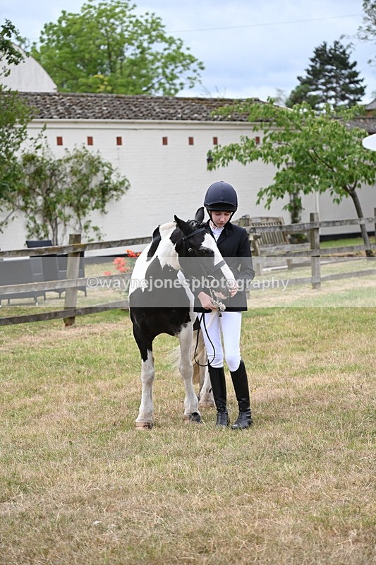 WJ6_4523 - Class 10 Coloured In-hand
