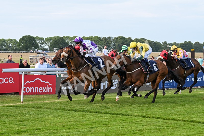 170625-Race 3-Dumfries-6434 - Race 3