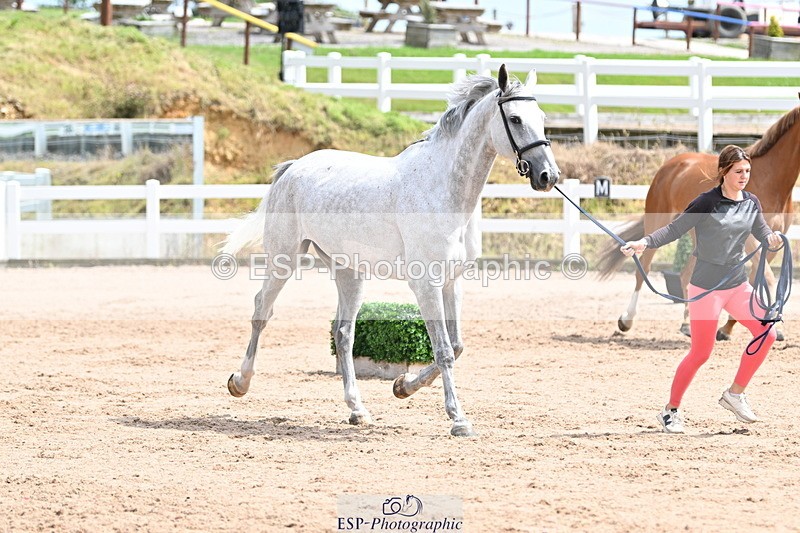 240717A-144342-02241 - Trot Up 2pm to 3pm - This folder is not in time order