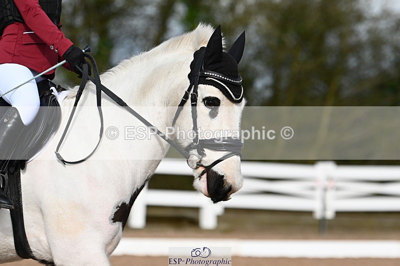 240323A-093035-00962 - MyQuest Intro A