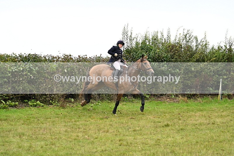 WJ7_4210 - Camera 1 Line 2