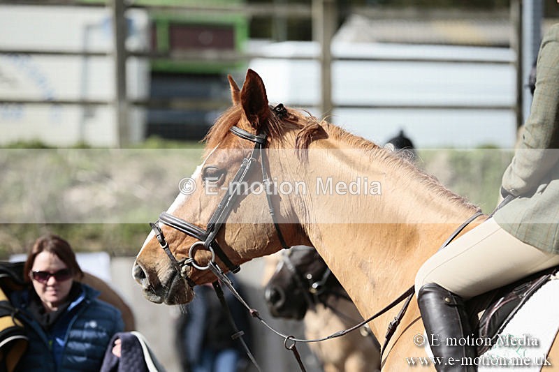 BVRC SJ 170319 355 - Bourne Valley Riding Club Showjumping 17/03/19