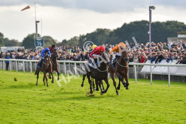 141023-Race 4-Colorada Dancer-1176 - Race 4 3.05pm Coral Racing Club EBF Maiden Stakes