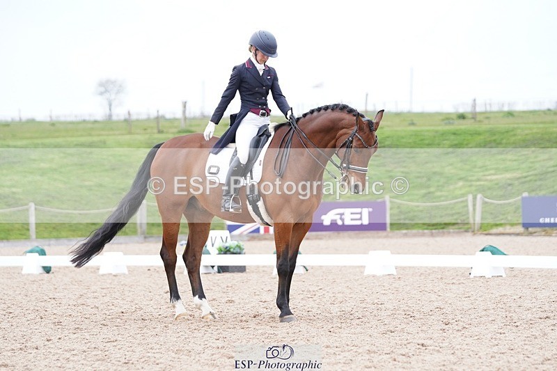 250403-162052-03291 - 028-Elizabeth.Allen-Heraldik