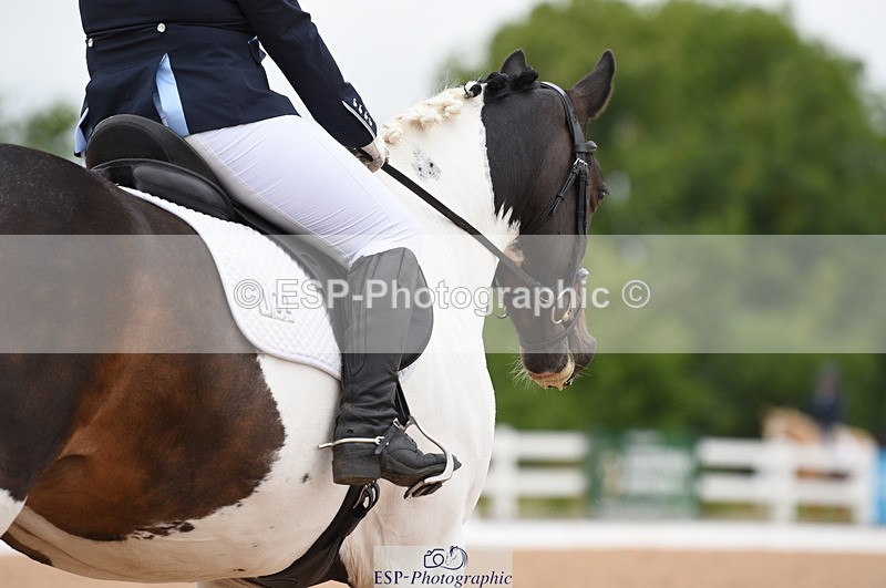 230630A-101238-00700 - Cls 4 Novice 23 Start to 11.30 break