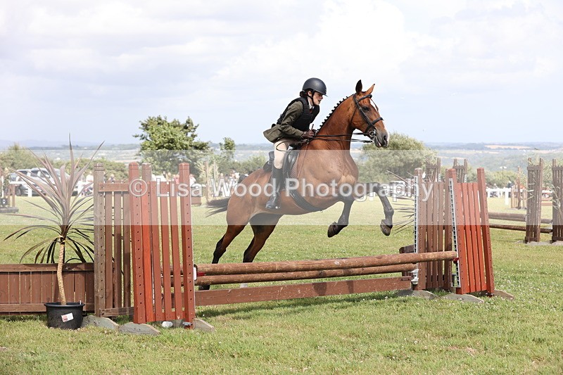 JPP_2062 - Class 19: Working Hunter 60cm