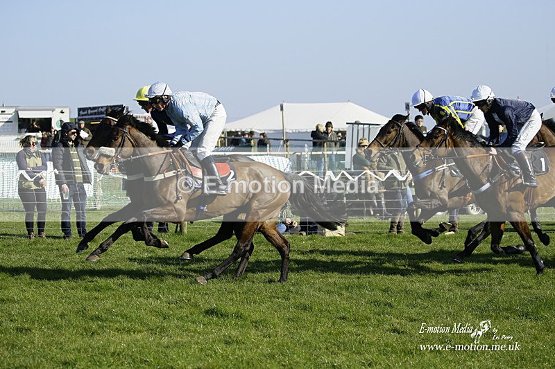 PtP 190322 685 - Wilton Hunt PtP Milborne St Andrew 19/03/22