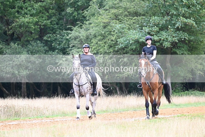 DSC_6274 - Time at Statue 12:17 to 12:44