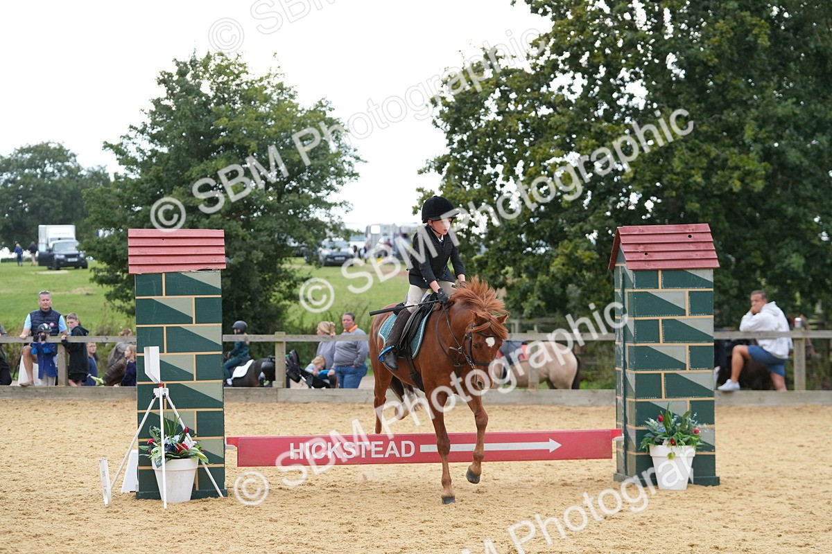SBM_74620 - J4 - Mini Tour Junior Pony 45cm Championship
