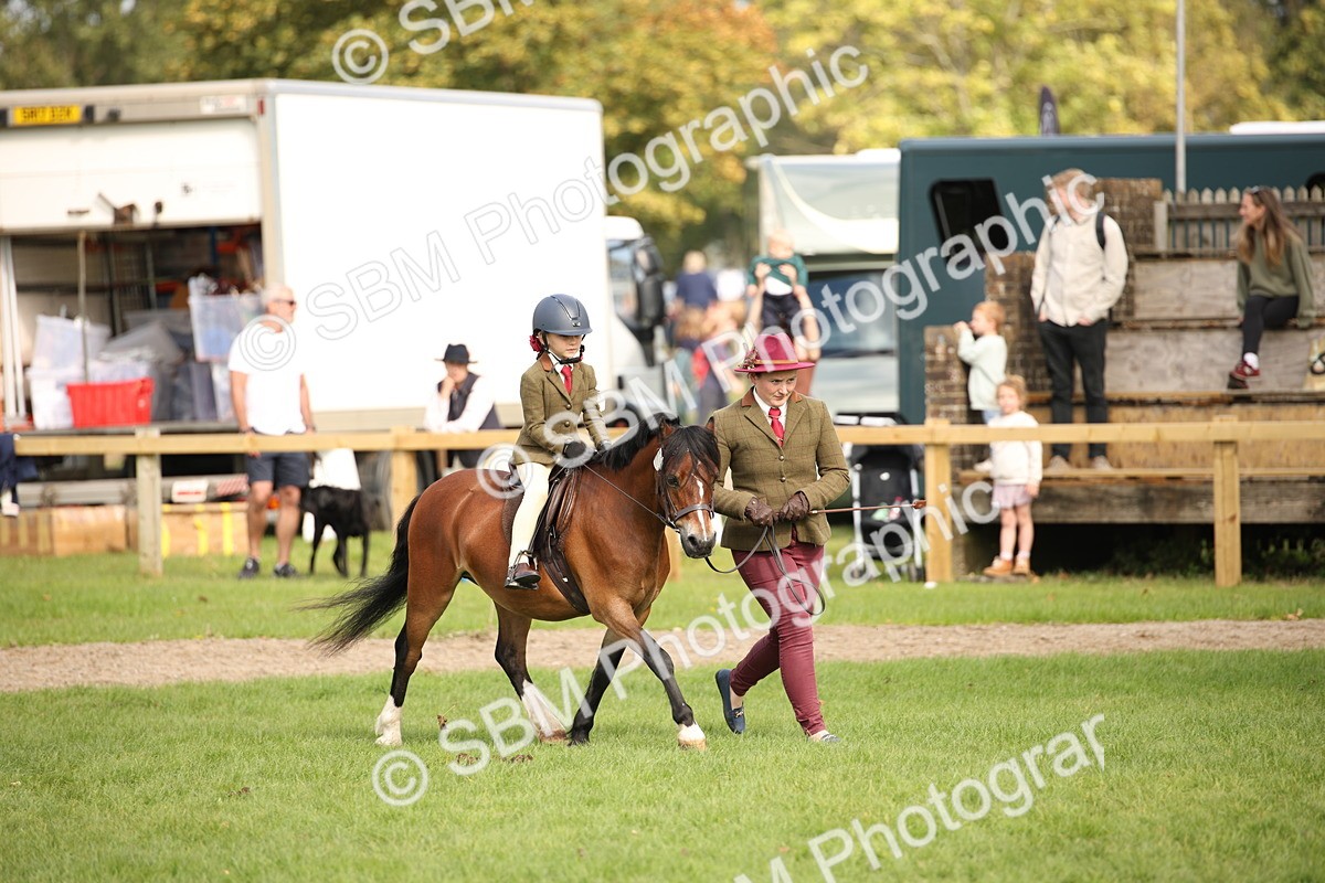 SBM_50022 - S26 - Young Veteran - Ridden