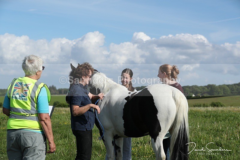 SPXX0046 - Friday vetting