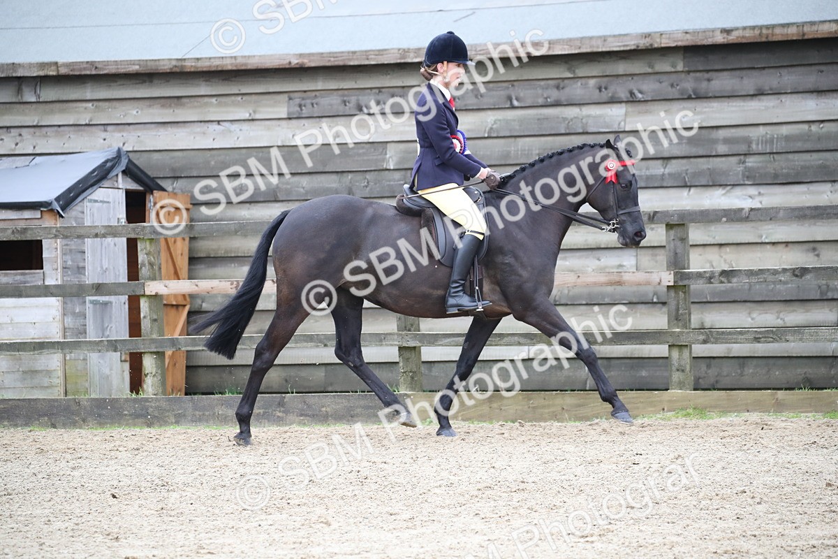 SBM_004817 - Class 5-9 - NPS In Hand-Show Hunter-Intermediate Ridden Inc Ridden Championship