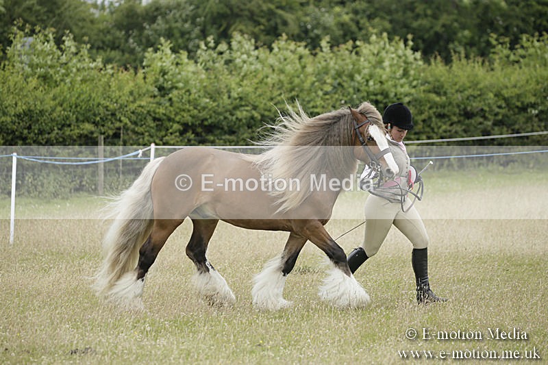 B230619-0865 - Bourne Valley Riding Club Summer Show 23/06/19