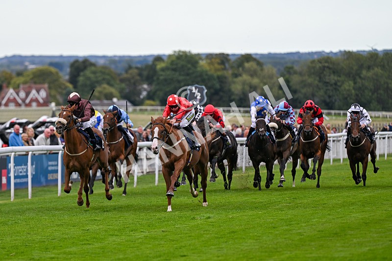 160926-Race 4-Woodvale-0627 - Race 4 3.48pm EBF Restricted Maiden Stakes