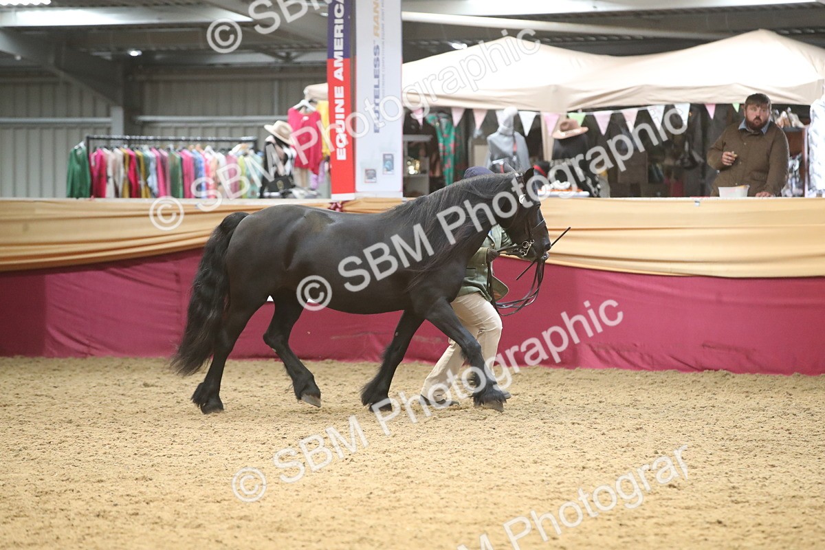 SBM_05655 - Class 9R - Regional IH Pre-Vet