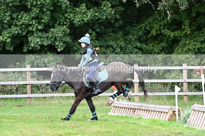 WJ7_7668 - 40cm Time 10:49 to 11:18