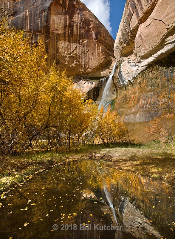 Lower Calf Creek Falls Reflection - Current Show
