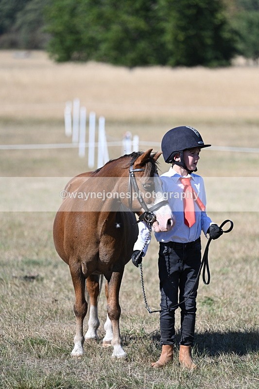 WJ7_2099 - Class 44 Child's Best Friend