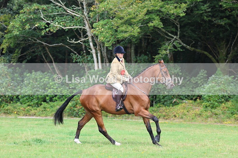 3E7A6083 - Working Hunter Championship