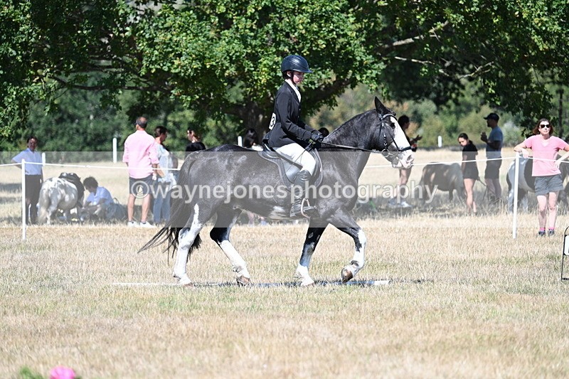 WJ7_0920 - Time 12:34 to 12:47