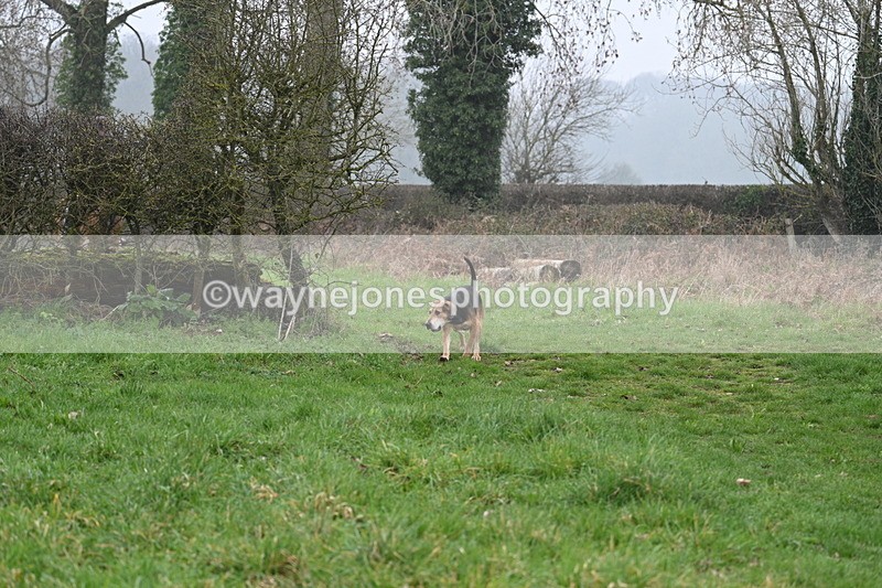 WJ7_0305 - Line 2 cam A