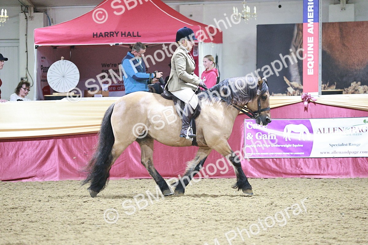 SBM_08119 - Class 11R - Regional Ridden Veteran