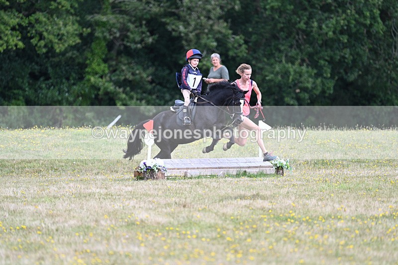 WJ7_0951 - 40cm Time 11:28 to 11:53