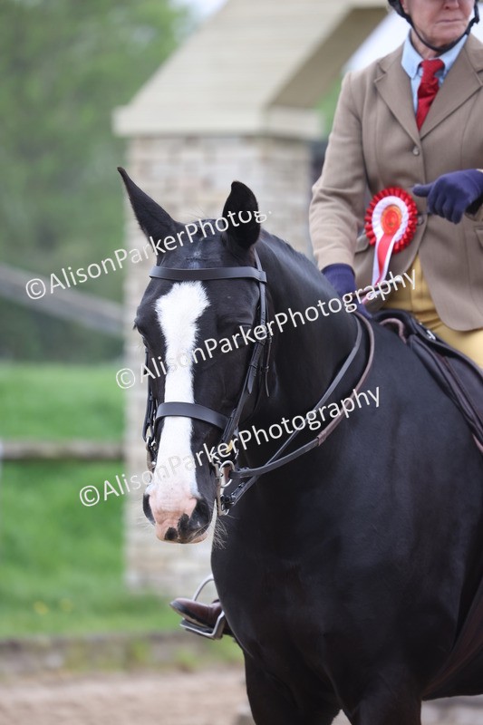 20260504-1160 - Class 14 - Cob and Hunter