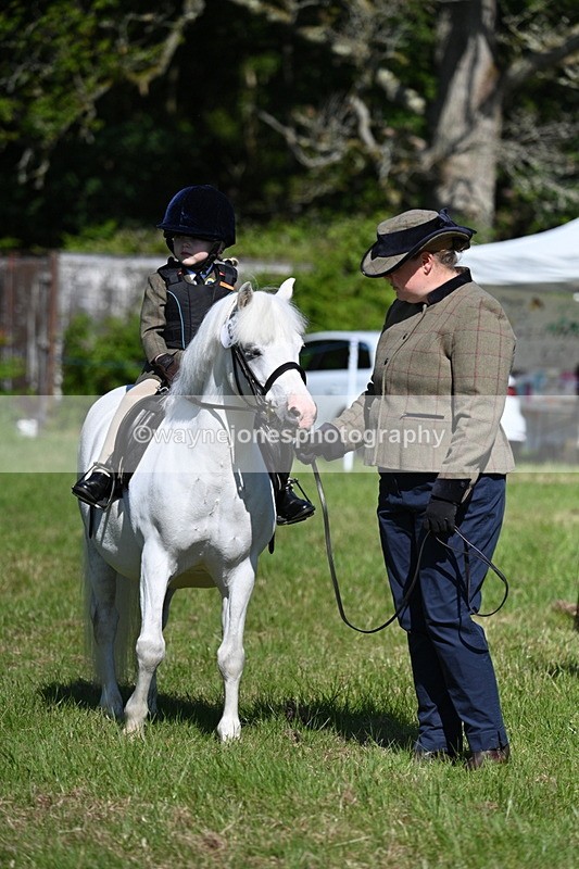 WJ7_0382 - Class 8 First Rally Pony