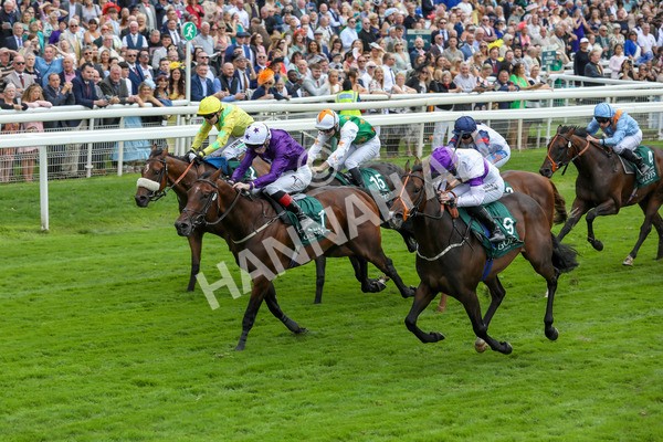 220824-Race 2-Diligently-7628 - Race 2 2.25pm Harry's Half Million By Goffs Premier Yearling Stakes