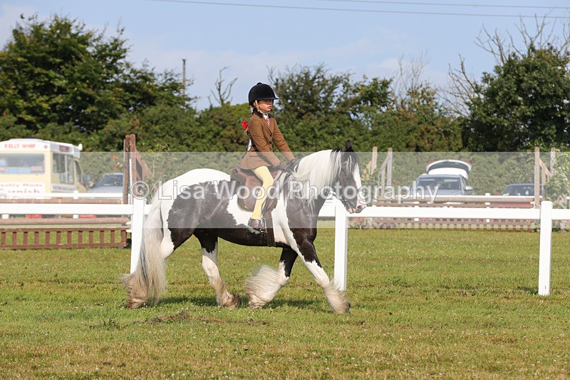 1X9A3308 - Class 28: Ridden Native/Trad Coloured Pony