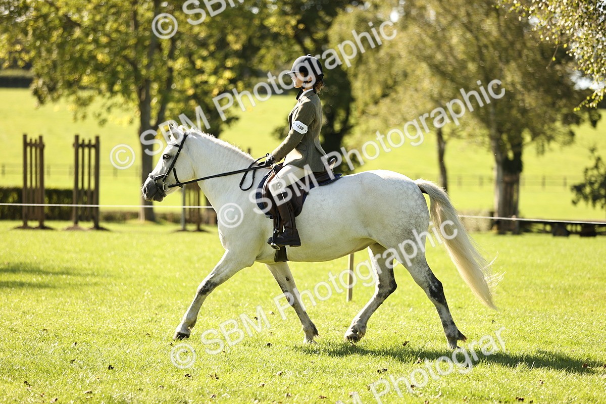 SBM_19098 - S3 - TSR Ridden Pony Showing