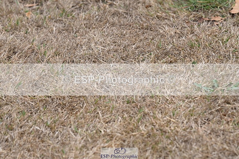 250820A-174154-12189 - Wednesday Presentations